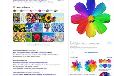 Google Search Image Preview Overlay Now Fully Live In Web Search Results