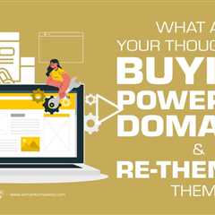 What Are Your Thoughts On Buying Powerful Domains & Re-Theming Them?
