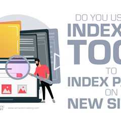 Do You Use Any Indexing Tool To Index Pages On New Sites?