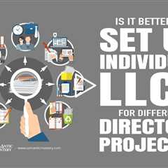 Is It Better To Set Up Individual LLCs For Different Directory Projects?