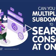 Can You Add Multiple LLG Subdomains to Search Console at Once?