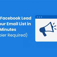 Connect Facebook Lead Ads to Your Email List in 5 Minutes (No Zapier Required)