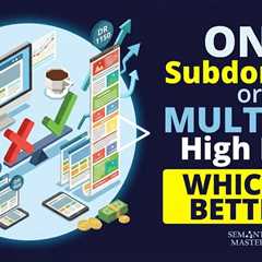Should You Publish Blog Posts on One Subdomain or Multiple High DR Subdomains?